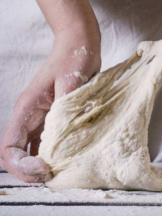 Sourdough Hydration Explained