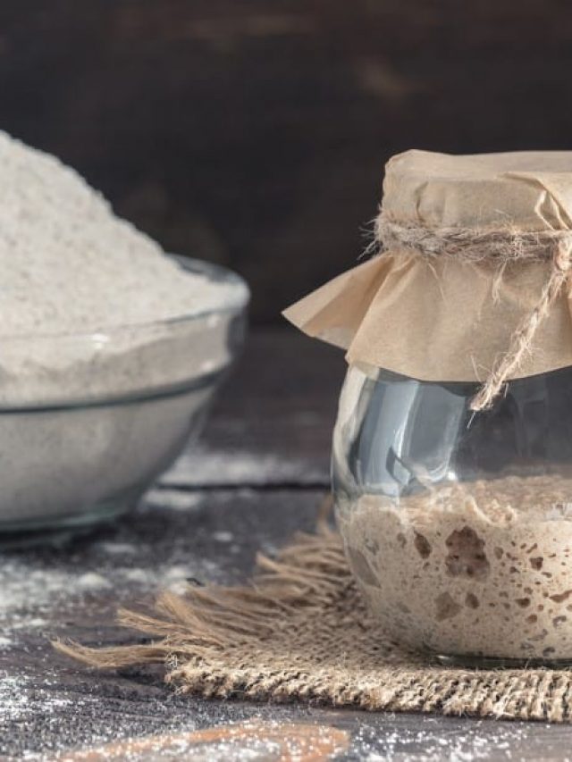 Sourdough Starter Troubleshooting