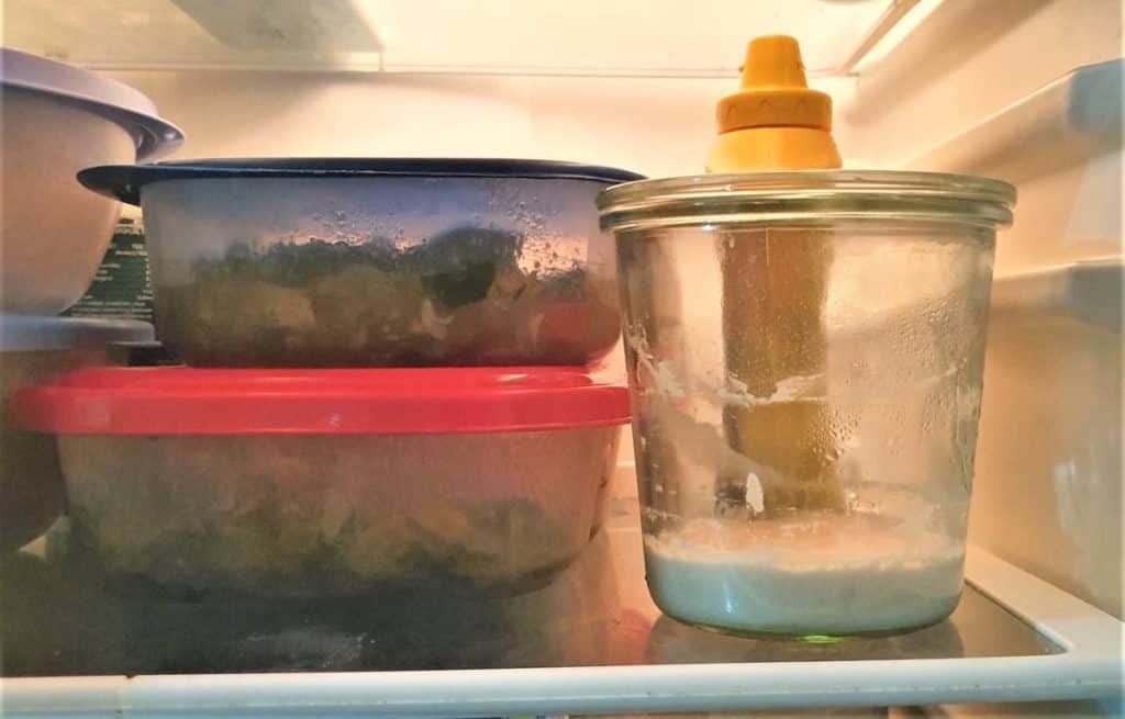 sourdough starter in fridge