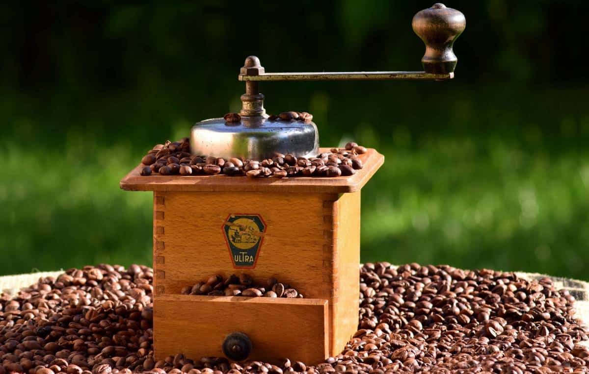 Full Guide to Milling your Own Flour at Home (Why, How, Pros & Cons)