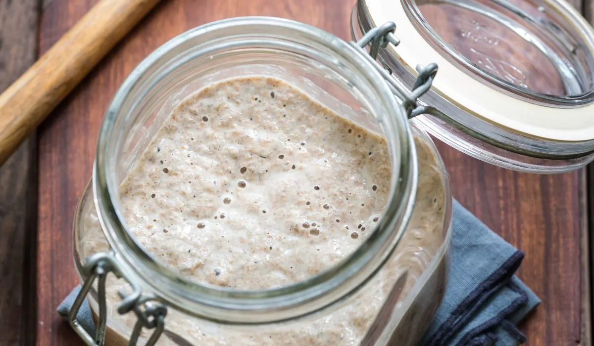 revive a sourdough starter sourdough starter in a jar container