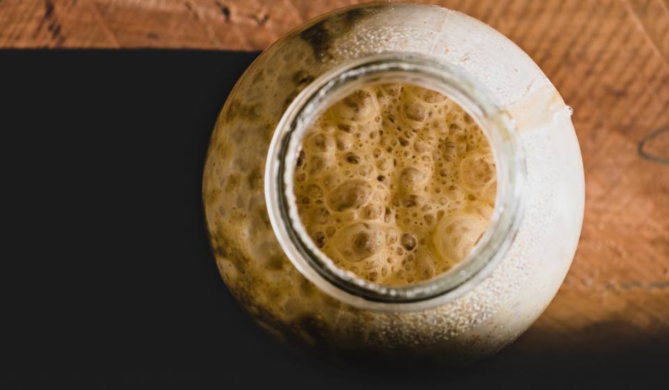 Was ist der Unterschied zwischen Sauerteig (Anstellgut) und Hefe? - Truesourdough.com