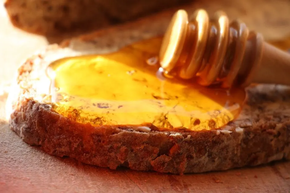 Honey on a slice of bread.