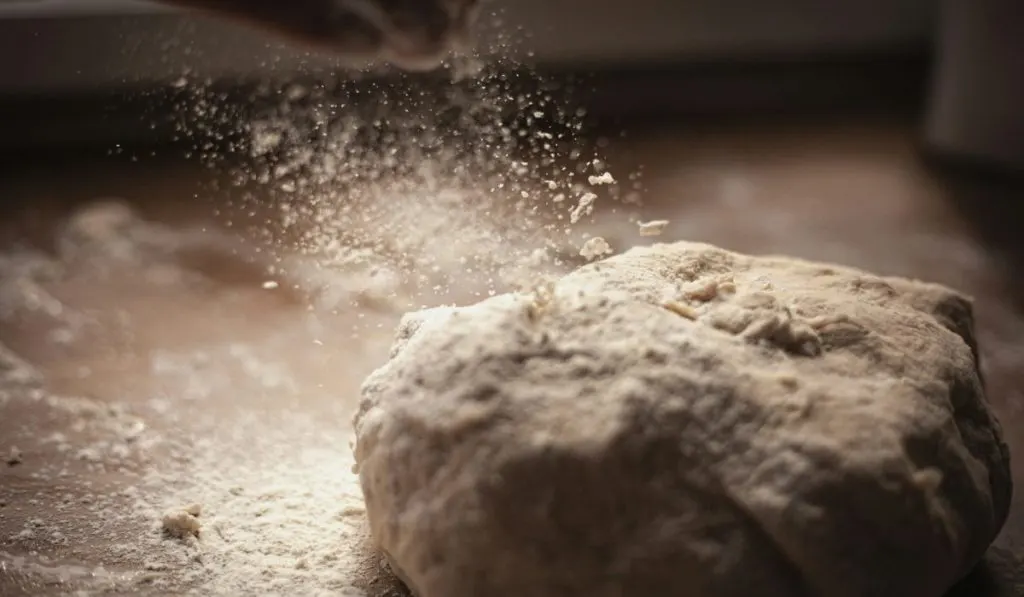 Low-Carb Sourdough Bread-Shaping the Sourdough