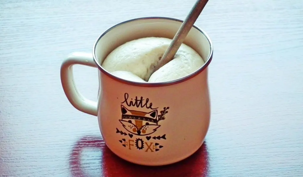 Sourdough in a mug
Sourdough starter issues