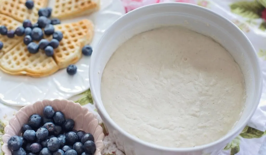 How to Start a Sourdough Starter: The Ultimate Guide to Perfect Homemade Bread