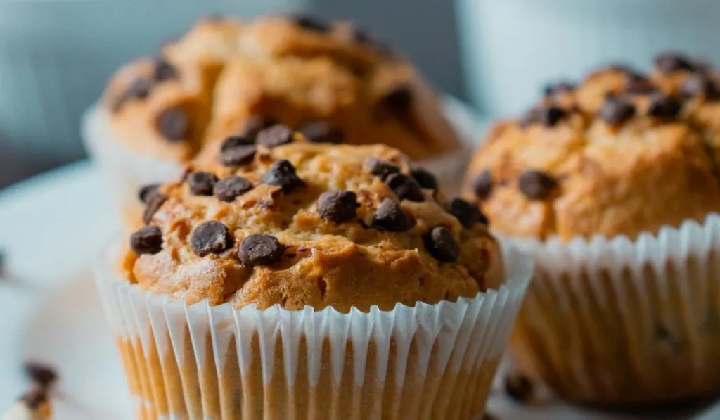 Sourdough Chocolate Chip Muffins